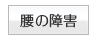 腰の障害